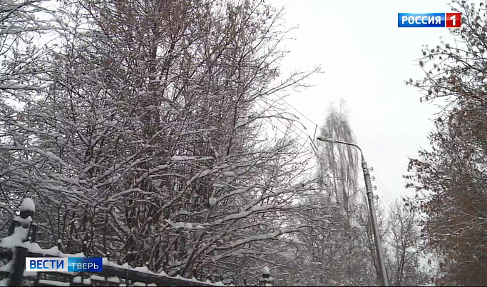 После снегопада в Тверской области восстанавливают электроснабжение 
