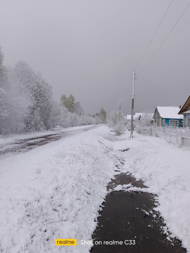 Майские снегопады накрыли Тверскую область