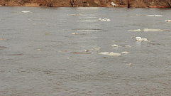 В реке Обша в Тверской области утонул человек