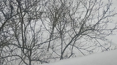 В Тверской области в Рождественский сочельник ожидается оттепель и мокрый снег