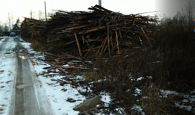 В Тверской области предпринимателя наказали за накопление отходов древесины