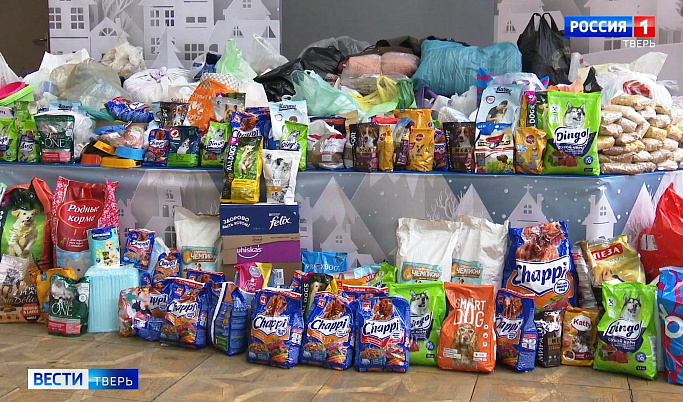 Жители Твери пожертвовали бездомным животным более 400 кг еды