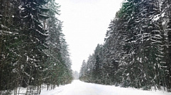 В Тверской области проведут зимний учёт охотничьих животных