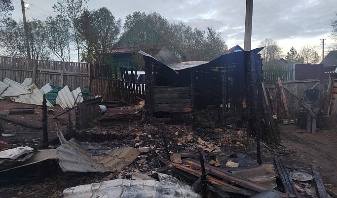 Два человека погибли на пожаре в деревне в Тверской области