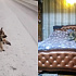 В Тверской области оставленная на морозе собака обрела новый дом